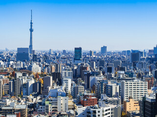 Fototapeta premium 東京 青空と都市風景