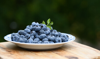 Blueberry Blueberries background. Fresh blueberries. Vegan and vegetarian concept. Healthy food. Berries background. Ripe juicy berries close-up. Fresh berries. Eco fresh.