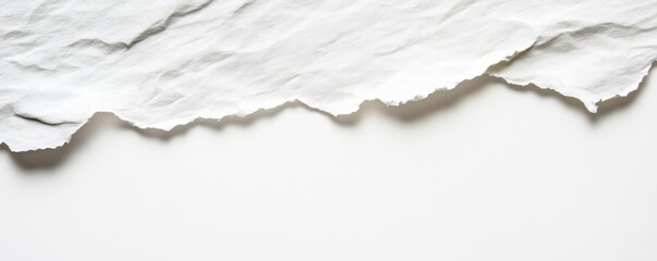 Torn white paper on plain background