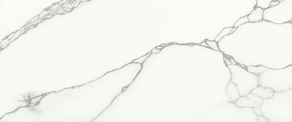 Obraz premium A photograph of a white marble surface with black veins, close-up view, high quality, no watermark, jpeg artifacts, no people