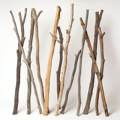 Fototapeta premium Rustic Wooden Branches: Natural Minimalist Art