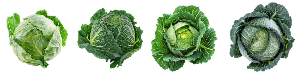 Obraz premium Collection of Fresh Variety of Whole Cabbages Displayed on White Background