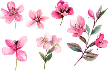 bouquet of pink flowers