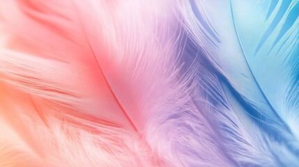 Obraz premium Soft pastel feather abstract background with gentle flowing colors