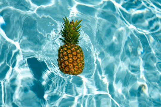 Exotic pineapple in pool. Summer vacation. Tropical summer. Summertime leisure. Tropical beach. Beach party. Pina Colada cocktail. Summer background.