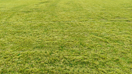 green grass soccer football field textured view