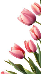 Naklejka premium a row of pink tulips with green stems and leaves against a transparent background. arranged in a diagonal line the tulips are in focus. while the background is blurred