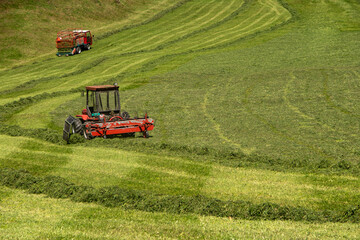 Fototapeta premium Grass cutting tool. Cutting Grass. Cutting lawn background. Lawn mower. Cut grass at field. Grass clippers. Mowing lawn. Before and after. Lawn equipment.