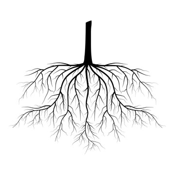 black tree roots on white background clip art preview