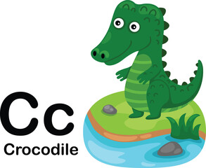 Alphabet Letter C-Crocodile with cartoon vocabulary illustration, vector