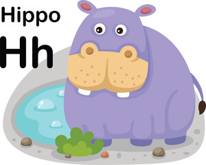 Alphabet Letter H-Hippo with cartoon vocabulary illustration, vector
