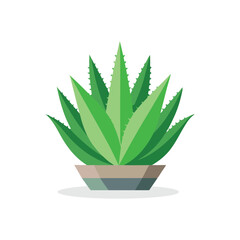 aloe vera Portrait isolated flat vector illustration on white background.