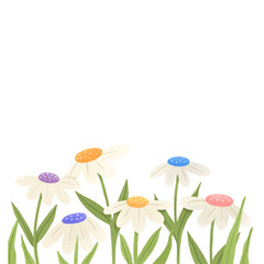 daisy flowers illustration