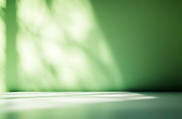 Green wall with sunlight shadows and floor.