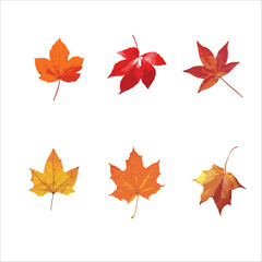 Set of watercolor autumn leaves