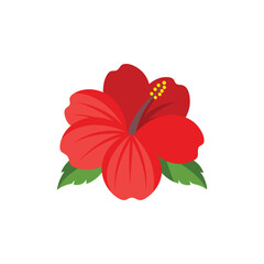 Red Hibiscus Flower isolated flat vector illustration white background.