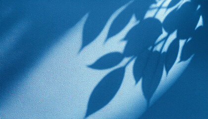Obraz premium Blue Textured Background with Leaf Shadows Sunlight