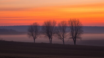 Serene Sunset Over Misty Field with Silhouetted Tree Line in Background