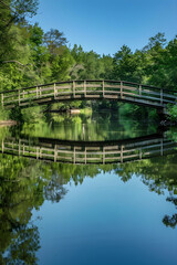 Harmonious Balance: A Symmetrical Bridge Reflecting on Calm Water Surrounded by Lush Greenery and Clear Sky