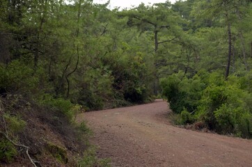 Mountain landscape in the vicinity of Marmaris