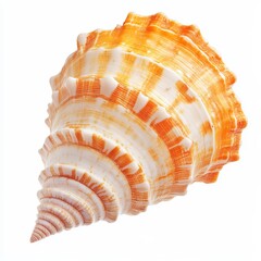 Obraz premium Orange and white spiral seashell isolated on white. (2)