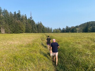 A father and son hiking through a field admiring a beautiful view of surrounding nature on Jedediah Island Marine Park