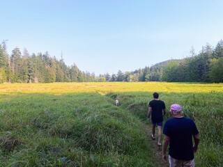 A father and son hiking through a field admiring a beautiful view of surrounding nature on Jedediah Island Marine Park