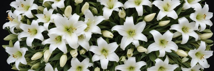 Fototapeta premium pure white lily flowers arranged in a circular pattern, elegant, bouquet, fresh