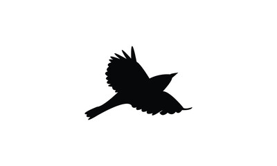 Flying Thrush Bird Silhouette Design  And Vector Illustration. 