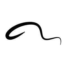 Swoosh underline, swish, swoop line vector. Caligraphic swivel curved. Element for typography. Black brush stroke. Isolated on white background. Retro style text tail