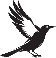 Obraz premium silhouette of a bird