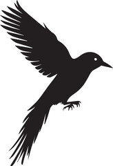 Fototapeta premium illustration of a bird vector black and white