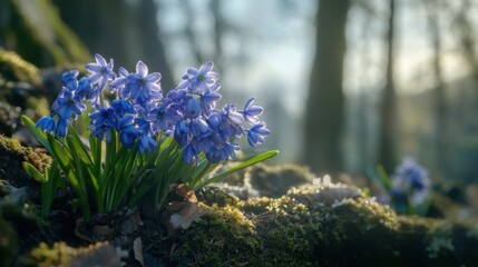 Blooming Blue Flowers Among Green Moss in Soft Morning Light