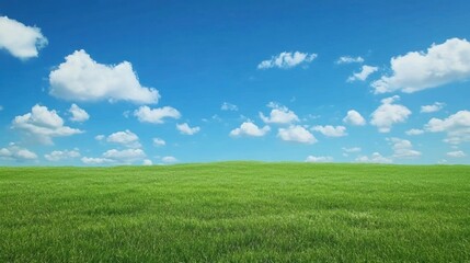 Fototapeta premium A serene landscape with green grass under a clear blue sky filled with fluffy clouds.