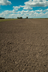 Soil texture background for gardening. Organic gardening. Agriculture concept. Mud on field. Soil...