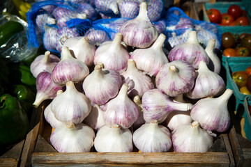 Organic Red Russian Garlic Bulbs Farmers Market