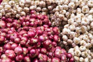 Organic Red Russian Garlic Bulbs Shallot Farmers Market