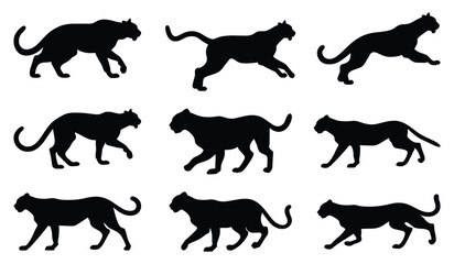 Set of panther silhouettes. isolated vector on white background. © Vector Vander