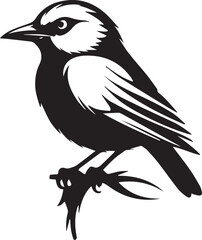 illustration of a bird