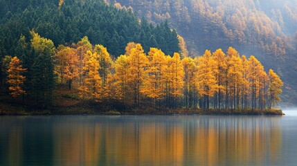 Fototapeta premium A serene lakeside scene with vibrant autumn trees reflecting on calm water.