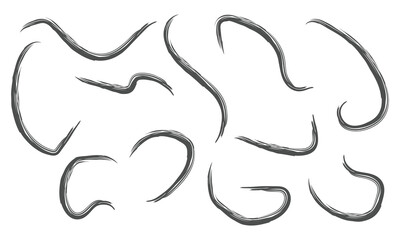 Obraz premium Multi colored squiggles with circles seamless pattern. Brush drawn bold curved lines, waves and swirls. Abstract geometric colorful background with organic bold lines. Childish doodles and scribbles.