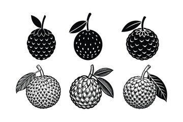 Lychee (Litchi chinensis) silhouette design, labeled linocut vector illustration.