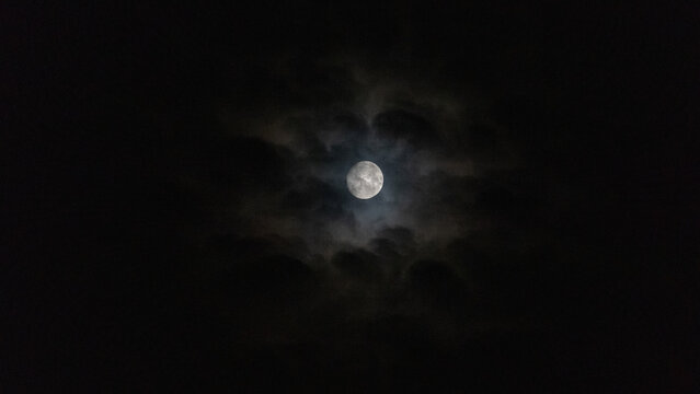 moon in the night