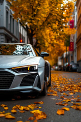 A silver sports car parked on the side of a street