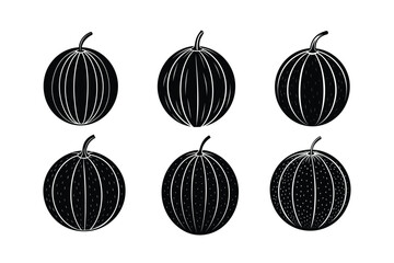 Cantaloupe (Cucumis melo) silhouette design, labeled linocut vector illustration.