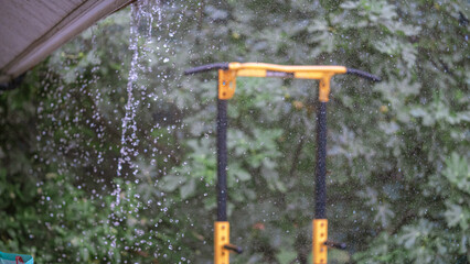 water drops on a tree