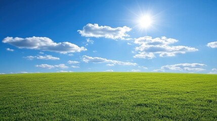 Obraz premium Bright Sunlight Over Lush Green Grass Field Under Expansive Blue Sky