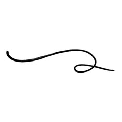 Swashes swoops and swishes calligraphy sign. Underline hand drawn stroke. Vector symbol