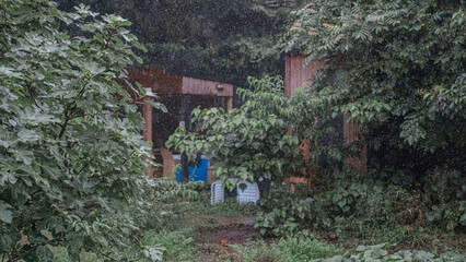 child playing in the garden