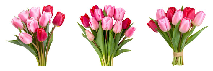 Fototapeta premium Elegant Pink and Red Tulip Bouquet on White Background